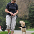 Strengthen Your Canine Human Bond - Dog Training - Vienna, VA