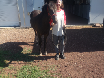 Spirit, a White Mountain Wild Horse, who was rescue in 2023 after his herd left him. This picture was taken when Teri Ann returned in July of 2024