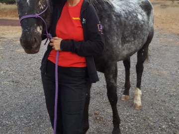 Teri Ann helped her owner with a set of stretches that helped her body heal from being cast.