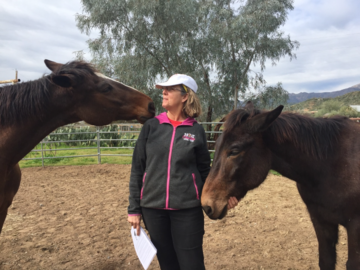 Animals, big & large, are always curious and drawn to Teri Ann