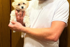 Request Quote: Aleksei Gural - Pet Transport - Nationwide
