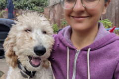 Request Quote: In Home Private Dog Training - San Antonio, TX