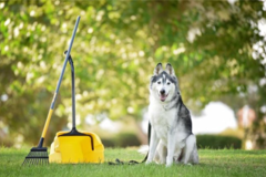 Request Quote: Pet Waste Clean Up Services - Archer, FL