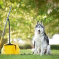 Pet Waste Clean Up Services - Archer, FL