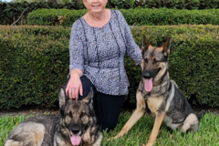 Request Quote: Family Dog Training - Port St. Lucie, FL