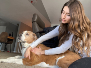 Stunning Stella and her weekly massage and Reiki therapy for her arthritis