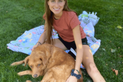 Request Quote: In-Home Animal Massage and Reiki Healing - Denver, CO