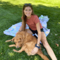 In-Home Animal Massage and Reiki Healing - Denver, CO