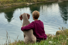 Request Quote: Holistic Dog Health Coach - Nationwide