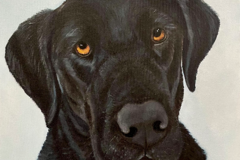 Request Quote: Debi Starr - Custom Pet Portraits - Nationwide