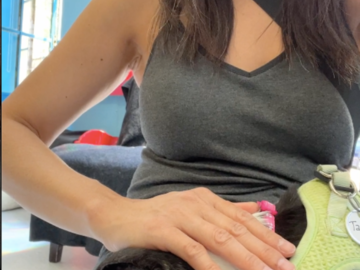 Dog Reiki