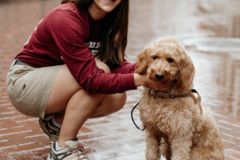 Request Quote: Magnus K9 - Private Dog Trainer - Mount Joy, PA