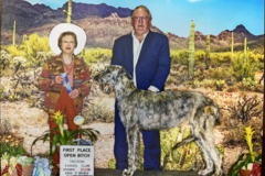 Request Quote: Experienced Pet Transporter and Show Dog Family - Nationwide