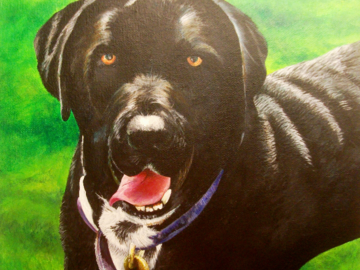 Pooch Dog