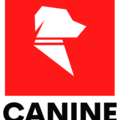 Canine Confidence Center - Dog Training - Rhinebeck, NY
