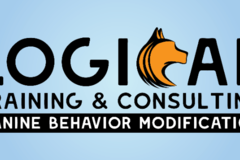 Request Quote: Canine Behavior Modification - LOS RANCHOS DE ABQ, NM