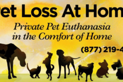 Request Quote: Pet Loss at Home - Dr. Scott - In Home Pet Euthanasia  - Detroit, MI