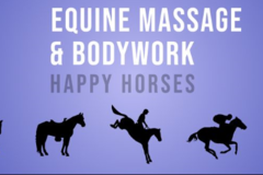 Request Quote: Experienced Equine Massage - Bodywork Therapy  - Elgin, SC
