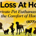 Pet Loss at Home - Dr. Robin - In Home Pet Euthanasia - Denver, CO