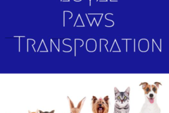 Request Quote: Experienced - Private - Personalized Pet Transportation - Nationwide