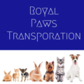 Experienced - Private - Personalized Pet Transportation - Nationwide