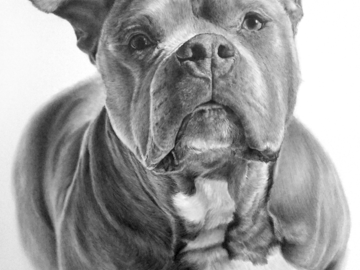 fantastic reference photo for this illustration