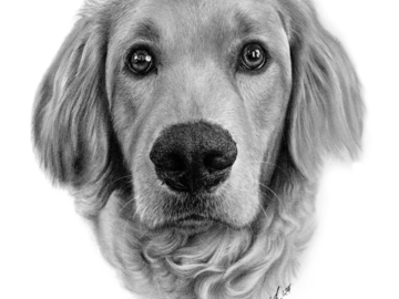 Loved drawing this highly detailed photo of Gracey