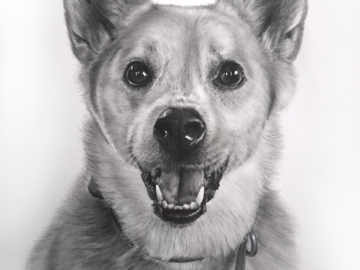 Lindsey loved this portrait of her dog!