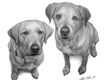 Dawn was amazing to work with combining these two pups