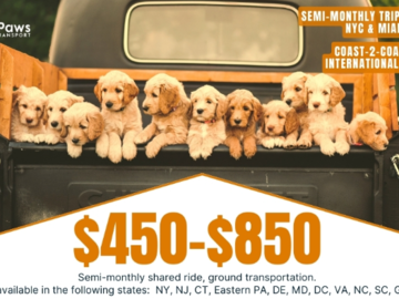 Furry Paws Pet Transportation