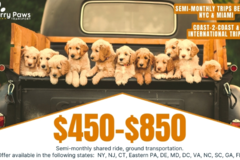 Request Quote: Furry Paws Transport - Pet Moving Service - Nationwide