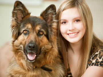 Dog Bonding