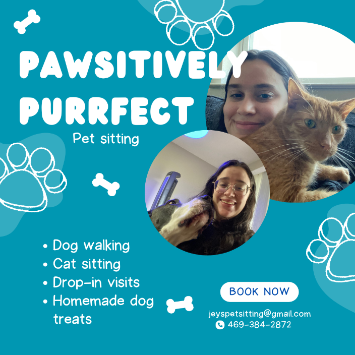 petbacker pet sitting agency near me