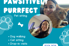 Request Quote: Drop-ins and Dog Walking - In Home Pet Sitting  - Denton, TX