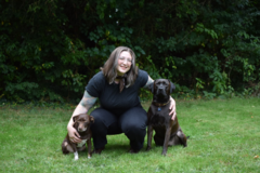 Request Quote: Dog Walks, Hikes, Pet Sitting and Taxi - Milford, CT