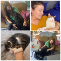 Animal Reiki with Meredith  - Nationwide