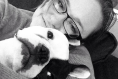 Request Quote: Certified Clinical Pet Nutritionist - Nationwide