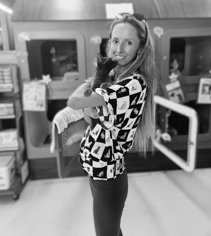 Sunny Isles Beach FL Kitty Faerie Cat Behaviorist In Person