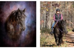 Request Quote: Art and Portraits of Your Pet - Custom Digital Paintings - Weston, WI