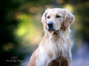 Outdoor portrait