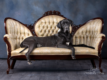 Studio portrait