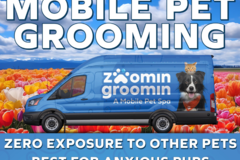 Zoomin Groomin Mobile Grooming - Virginia Beach, VA