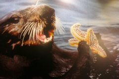 Request Quote: Petsaurus Pet Relocation Service - Nationwide