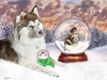 Custom Story portrait of Axl the Husky
