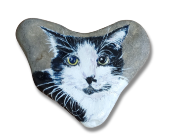 Portrait of Big Daddy Cat on Beach Stone