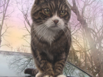Custom Digital Portrait on Canvas
