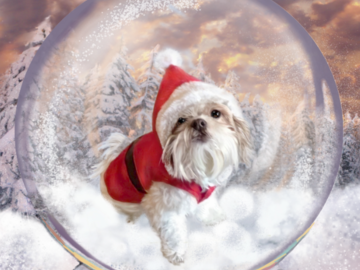 Custom Snow Globe Portrait Painting
