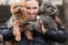 Request Quote: Rachel's Pet Care - Puppy Training  - Arvada, CO