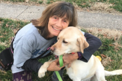 Best Paw Forward K9 Training - Dog Trainers - Richmond, VA