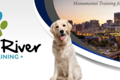 James River Dog Training - Richmond, VA